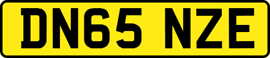 DN65NZE