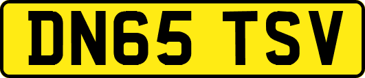 DN65TSV