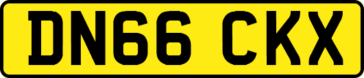 DN66CKX