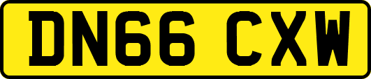 DN66CXW