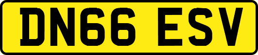 DN66ESV