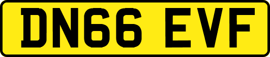 DN66EVF