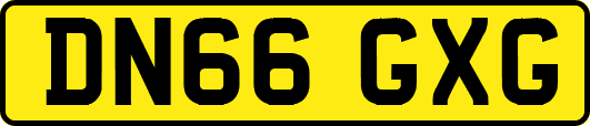 DN66GXG