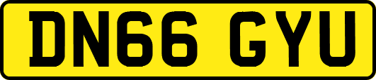 DN66GYU