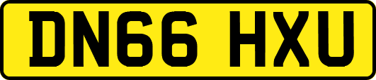 DN66HXU