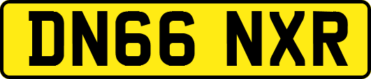 DN66NXR