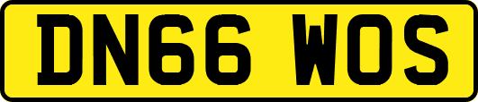 DN66WOS