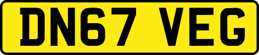 DN67VEG