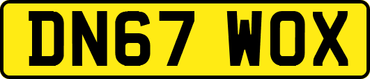 DN67WOX