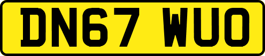 DN67WUO