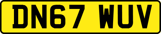 DN67WUV