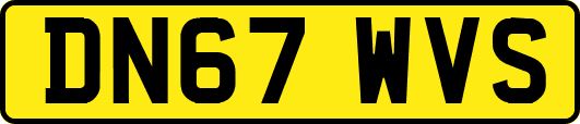 DN67WVS