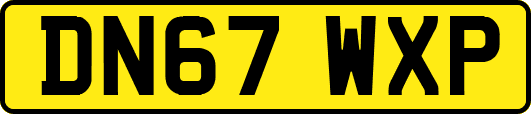 DN67WXP
