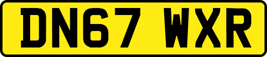 DN67WXR