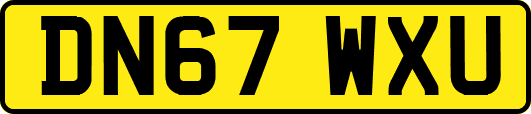 DN67WXU