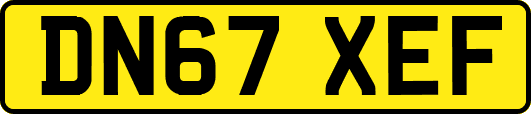 DN67XEF
