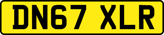 DN67XLR