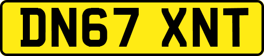 DN67XNT