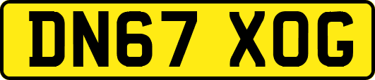DN67XOG
