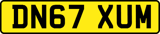 DN67XUM