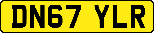 DN67YLR