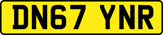 DN67YNR