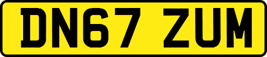 DN67ZUM