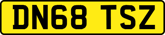 DN68TSZ