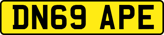 DN69APE