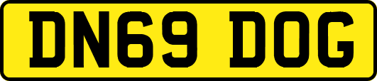 DN69DOG