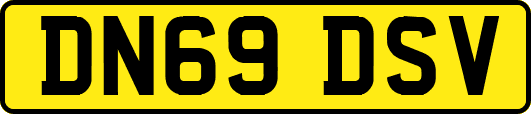 DN69DSV