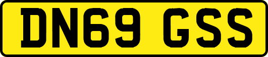 DN69GSS