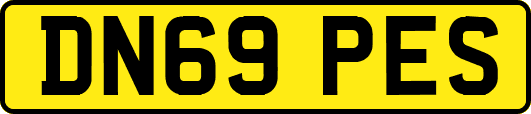 DN69PES