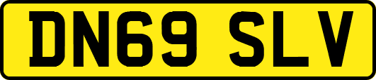 DN69SLV