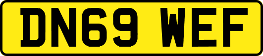 DN69WEF