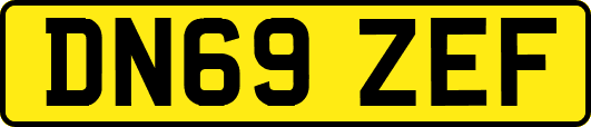 DN69ZEF