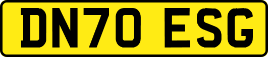 DN70ESG