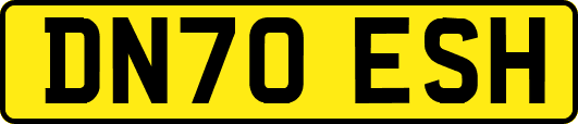 DN70ESH