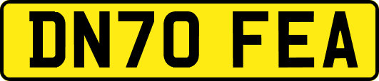 DN70FEA