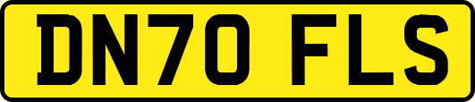 DN70FLS