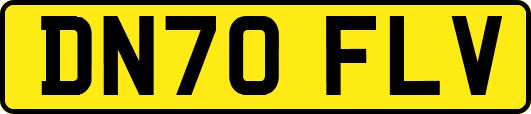 DN70FLV
