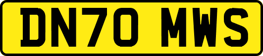 DN70MWS