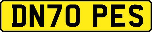 DN70PES