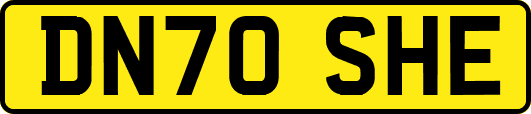 DN70SHE