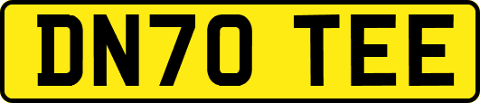 DN70TEE