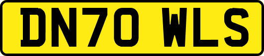 DN70WLS