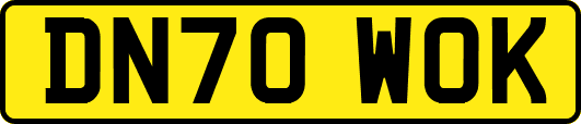 DN70WOK