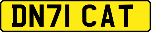 DN71CAT