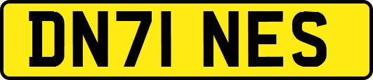 DN71NES