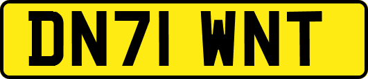 DN71WNT
